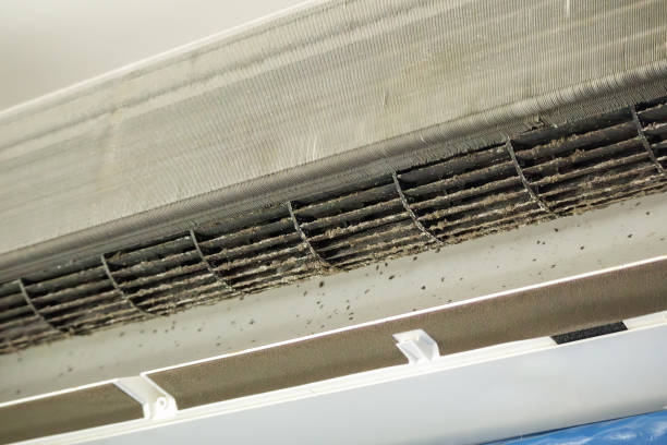 Best Residential Air Duct Cleaning  in Raleigh, NC